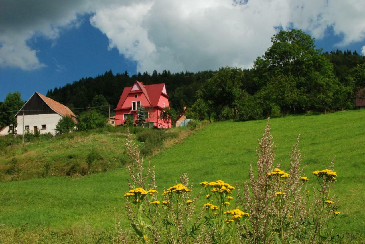 Malinowy Domek Mlynczyska Exterior foto