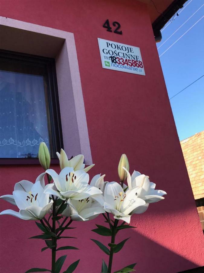 Malinowy Domek Mlynczyska Exterior foto