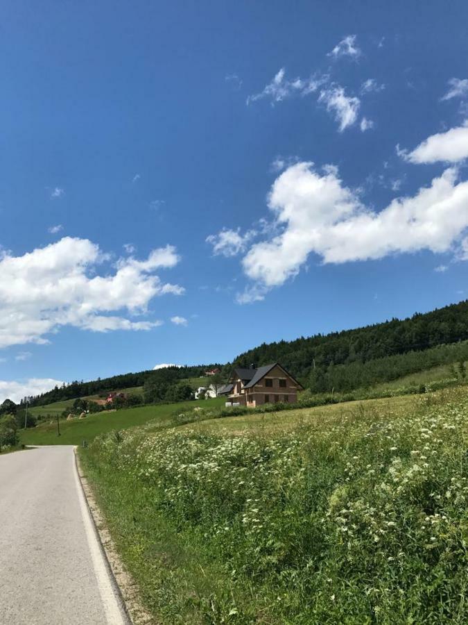 Malinowy Domek Mlynczyska Exterior foto
